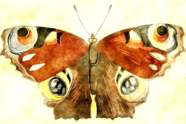 Watercolor Butterfly Painting Hot on Sale - Image 2