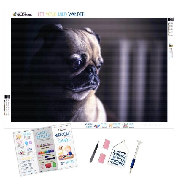 Pensive Pug For Cheap
