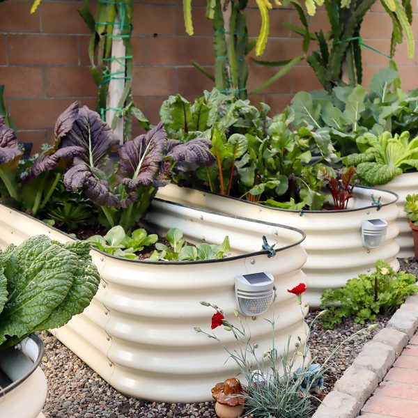 17  Tall 9 In 1 Large Modular Metal Raised Garden Bed Kit Online Hot Sale - Image 3