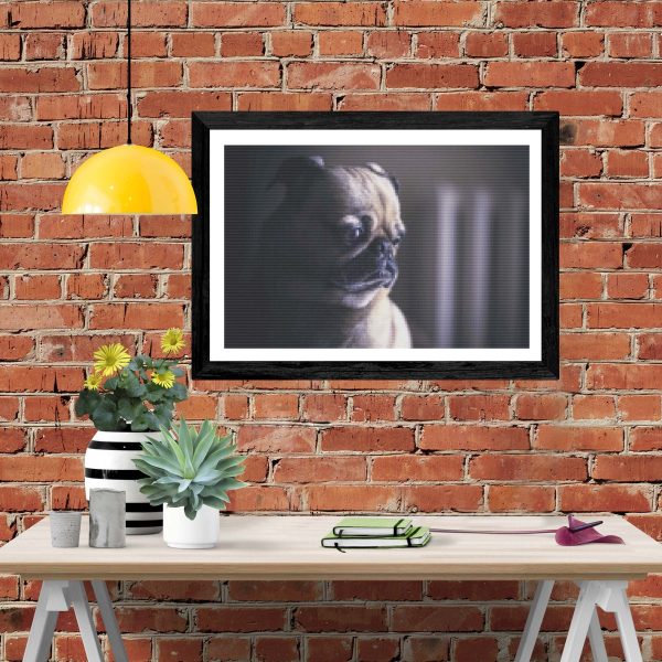 Pensive Pug For Cheap - Image 4