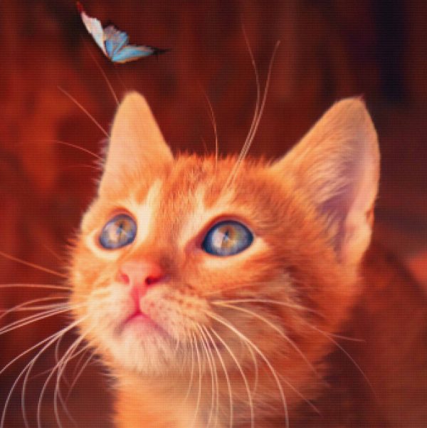 Butterfly Eyes Cheap - Image 3